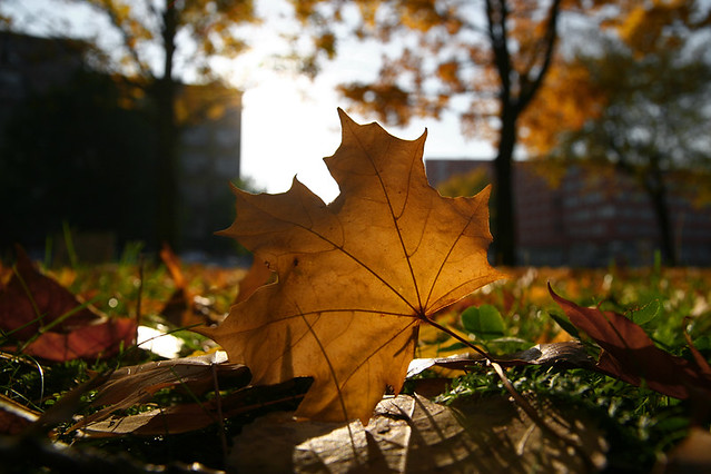 otoño