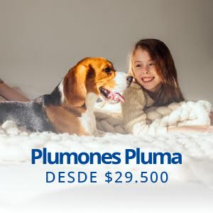Plumones y/o cobertores pluma